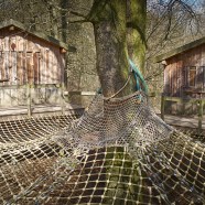 Arboreum: die Jugendherberge „Urwald Life Camp“ am Hainich