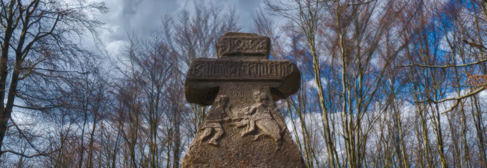 Die Wilde Sau